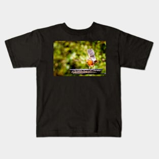 Hey there Robin Kids T-Shirt